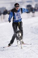 Lenk 2013